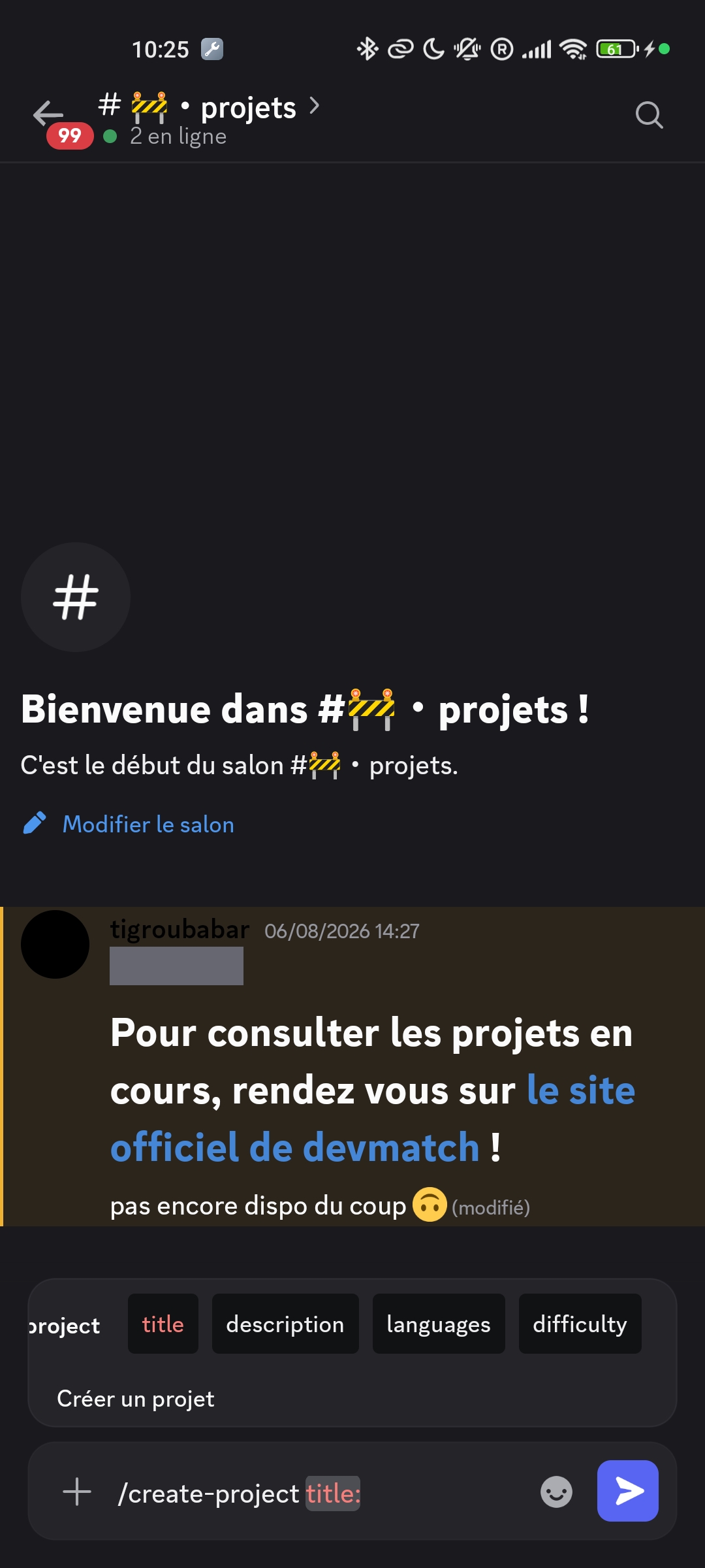 Commande de création d'un projet avec le titre, la description et les langages.